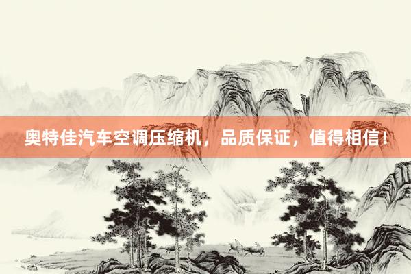 奥特佳汽车空调压缩机，品质保证，值得相信！